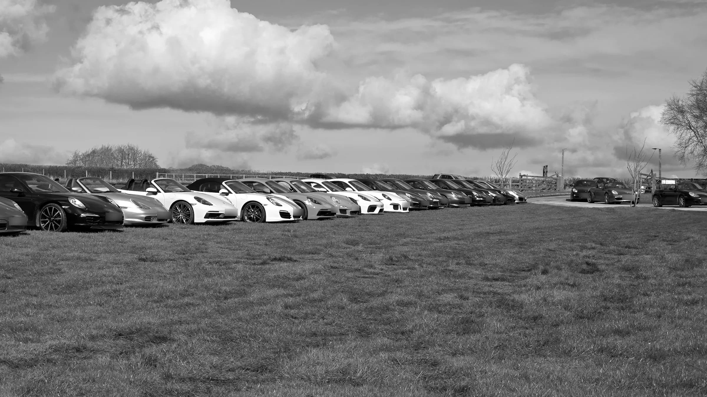 A long line of Porsches parked on the grass at the Tribal Porsche run